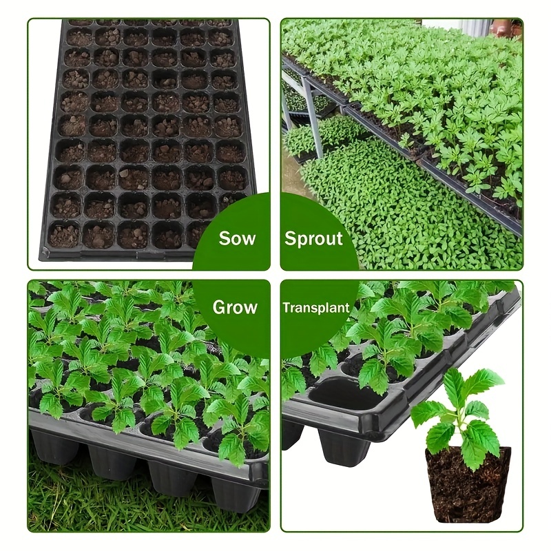 10, nursery tray, greenhouse g - Seed Starter Trays ulasan dan harga