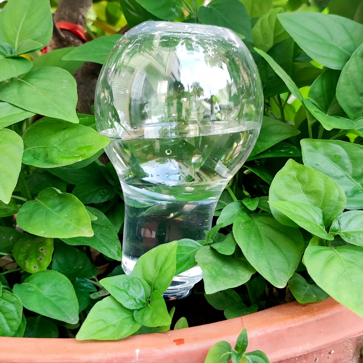 Garden Automatic Watering Tool - Gardening Tools Water ulasan dan harga