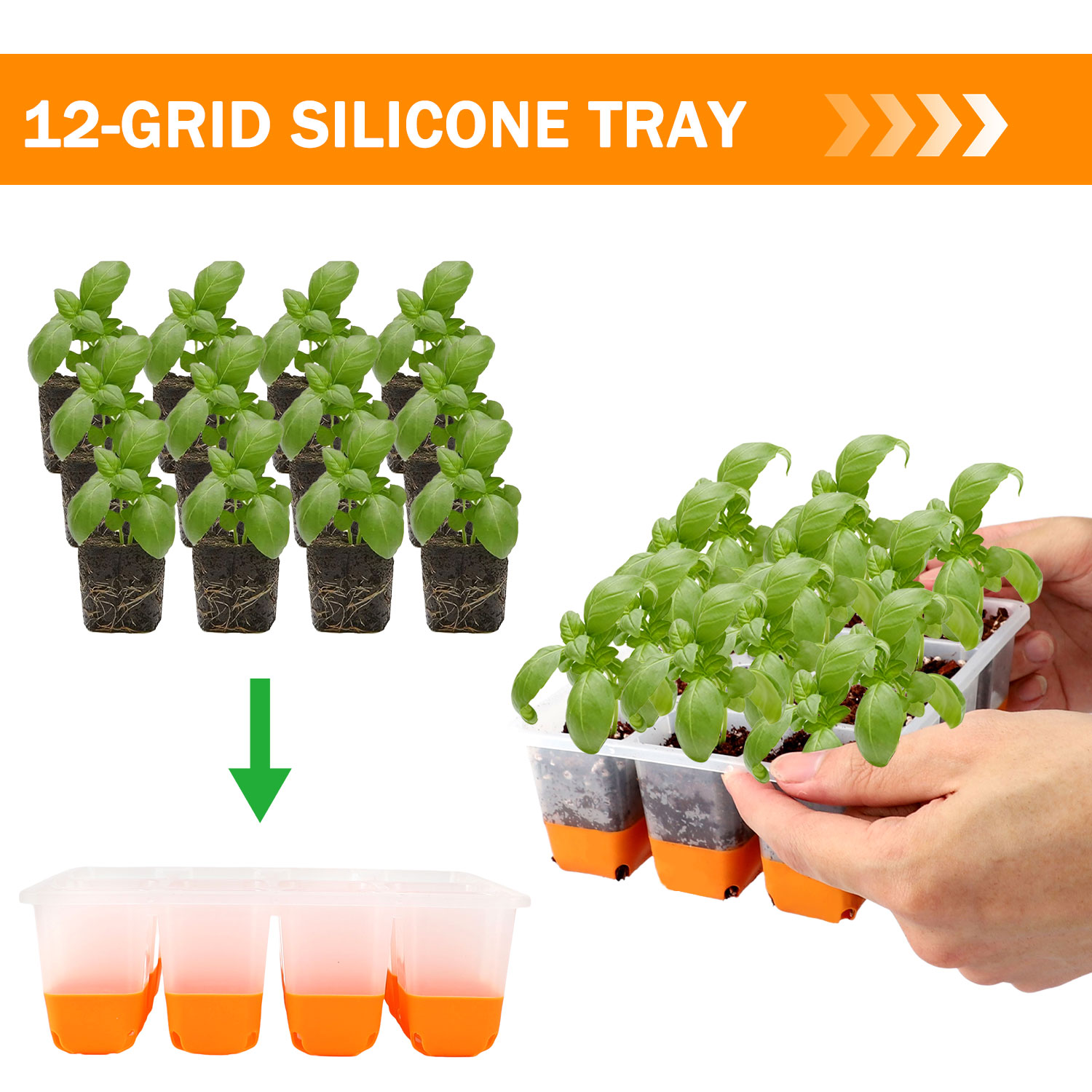 5/10 Orange Seed Starter Tray  - Seed Starter Trays ulasan dan harga
