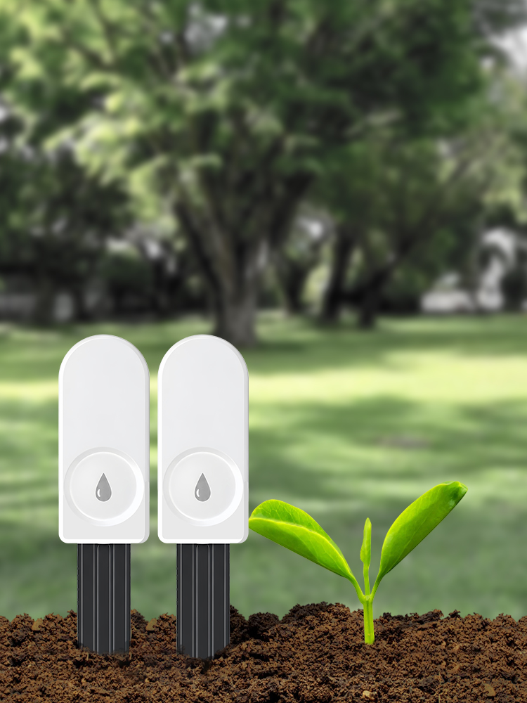 ZigBee Soil Moisture Meter for - Moisture Meter Plant ulasan dan harga