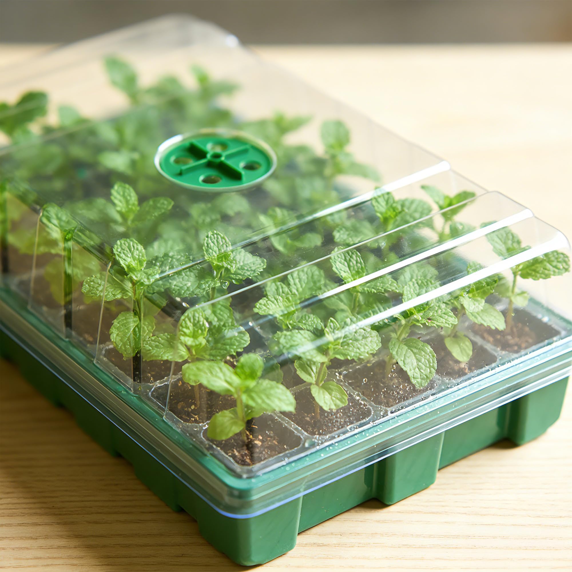 With Transparent Cover Greenho - Seed Starter Trays ulasan dan harga