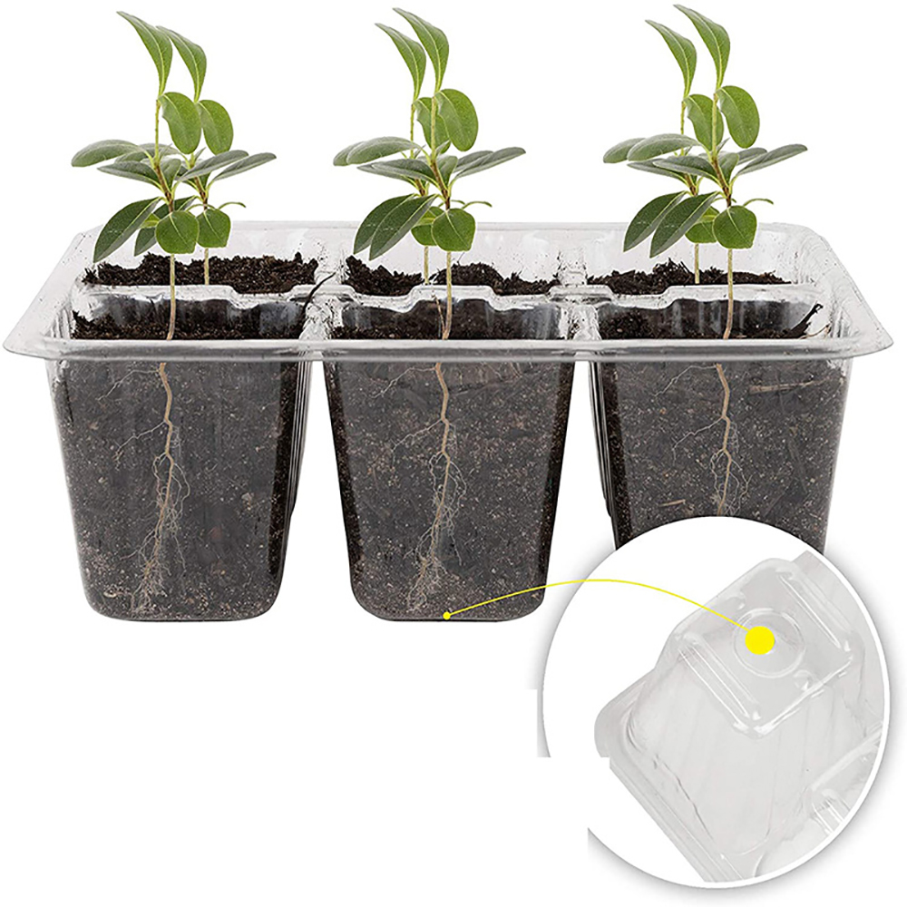 Seed Starter Trays with Grow L - Seed Starter Trays ulasan dan harga
