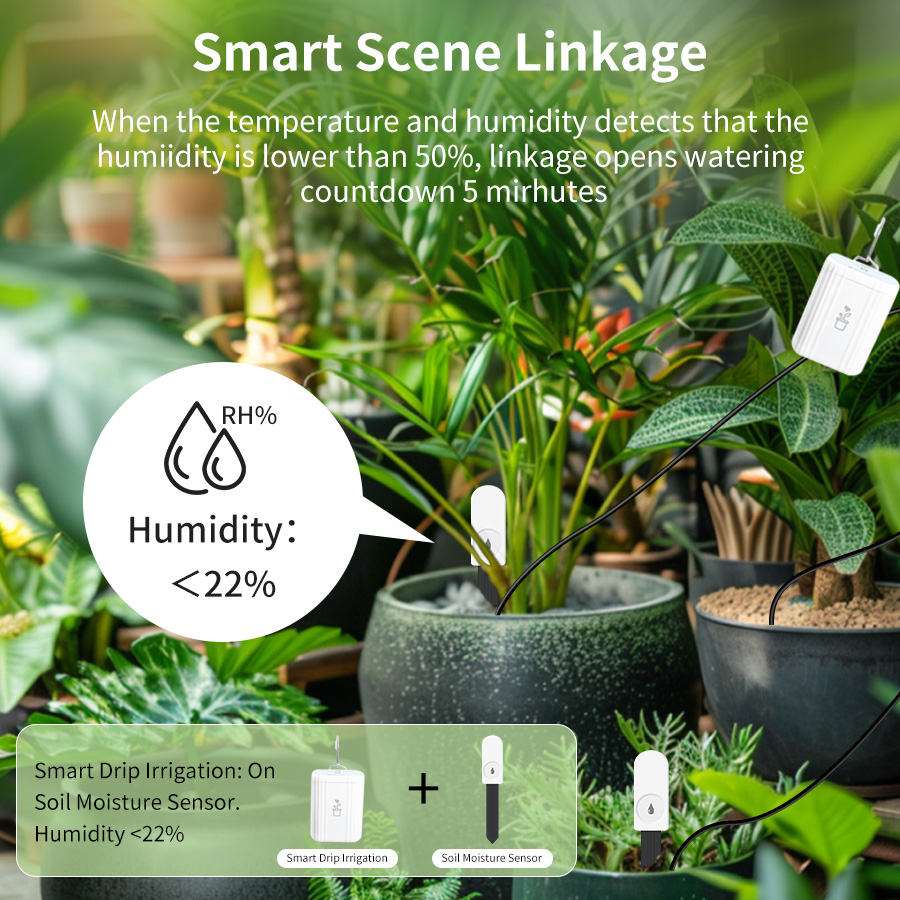 Smart Zigbee 3.0 Soil Tester H - Moisture Meter Plant ulasan dan harga