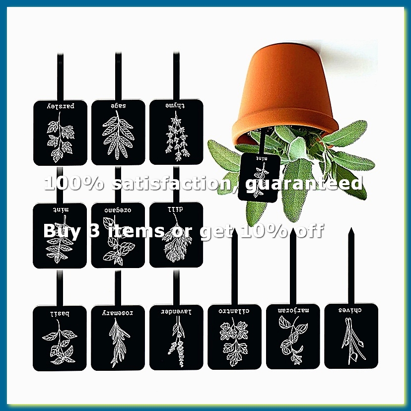 24Pcs Acrylic Plant Label Sign - Gardening Tools Names ulasan dan harga