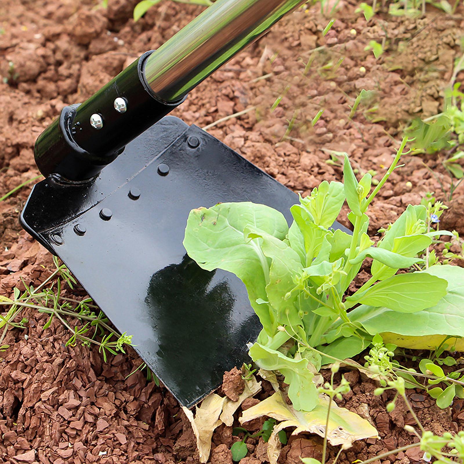 Weeding Sickle Hoe Adjustable  - Gardening Tools Hoe ulasan dan harga
