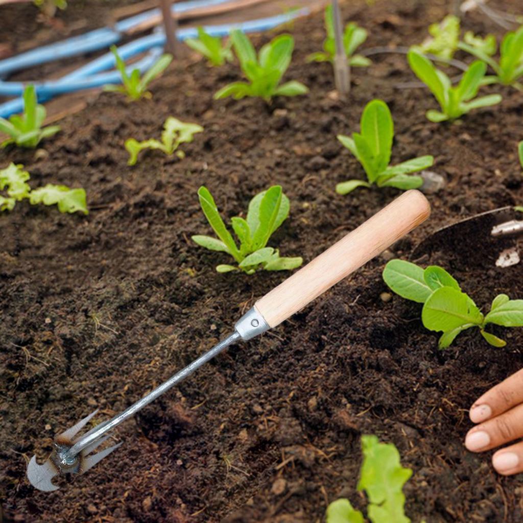 Garden Weeding Tool Gardening  - Gardening Tools Hoe ulasan dan harga