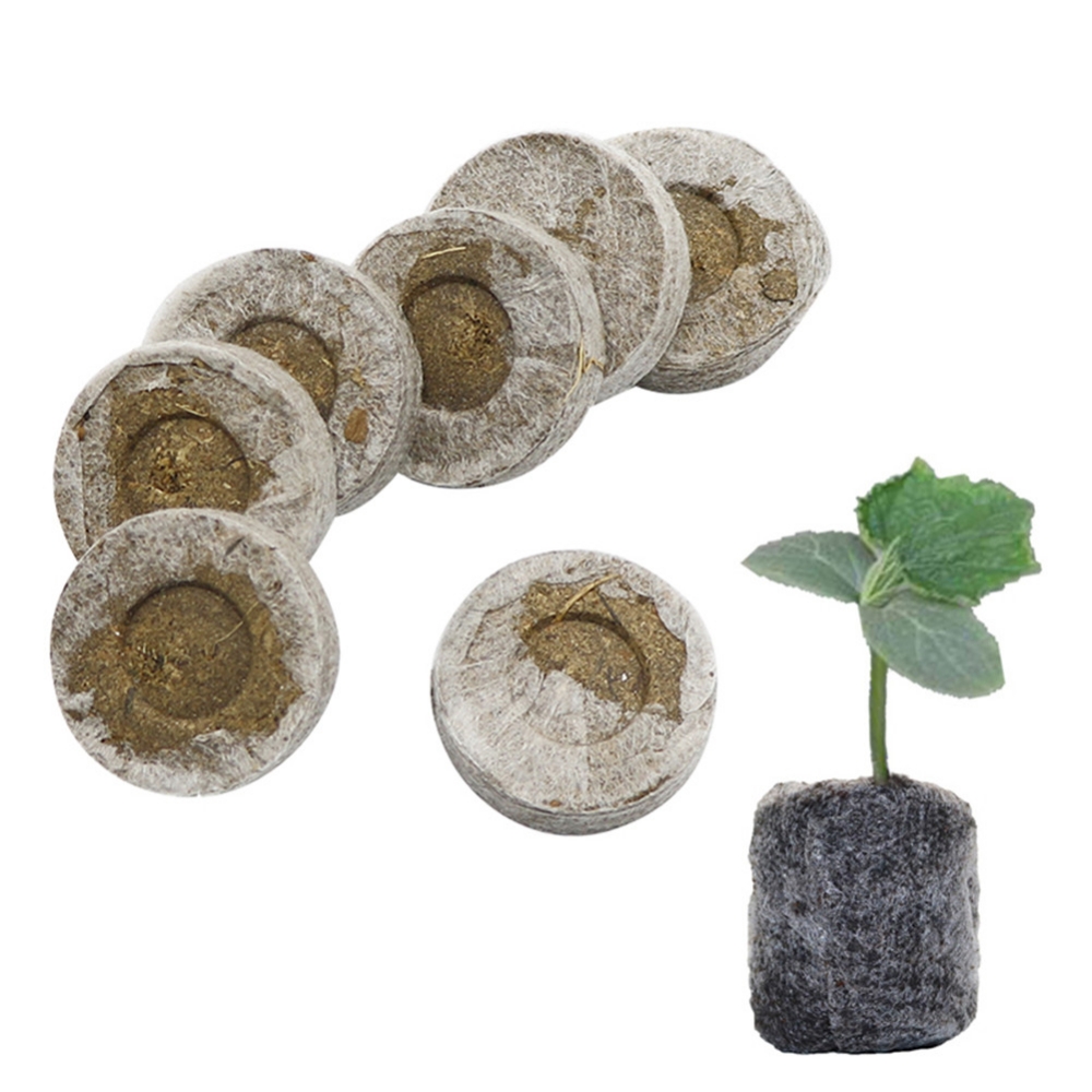 Organic Biodegradable Nursery  - Seed Starter Trays ulasan dan harga