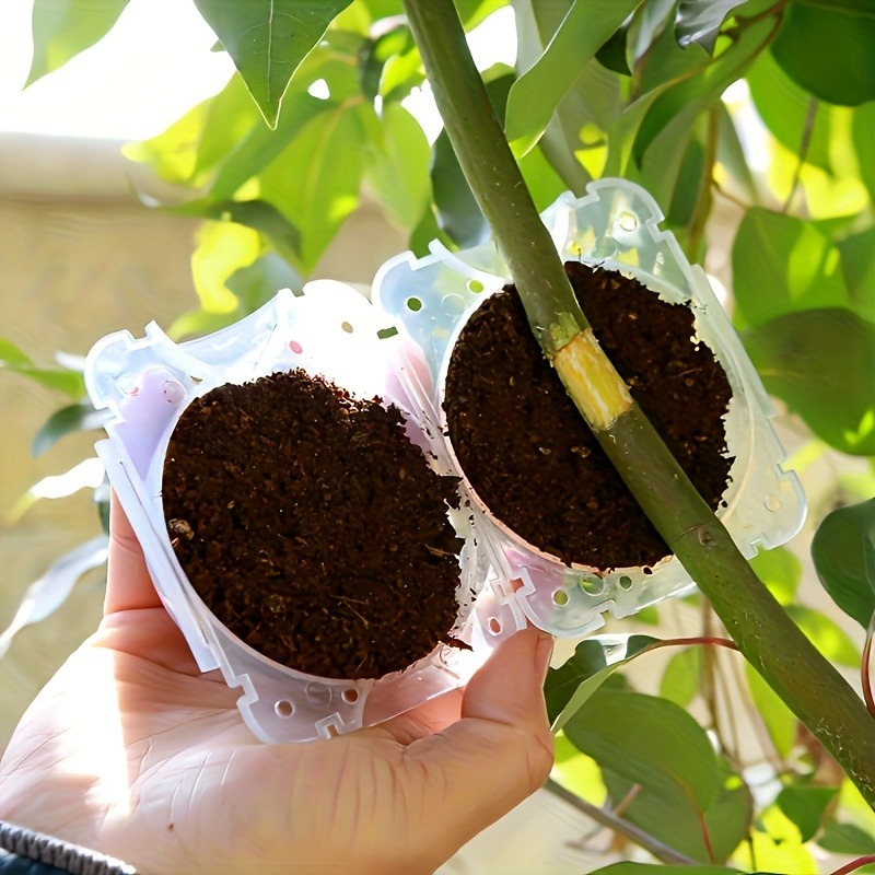10Pcs High Pressure Plant Root - Gardening Tools Organiser ulasan dan harga