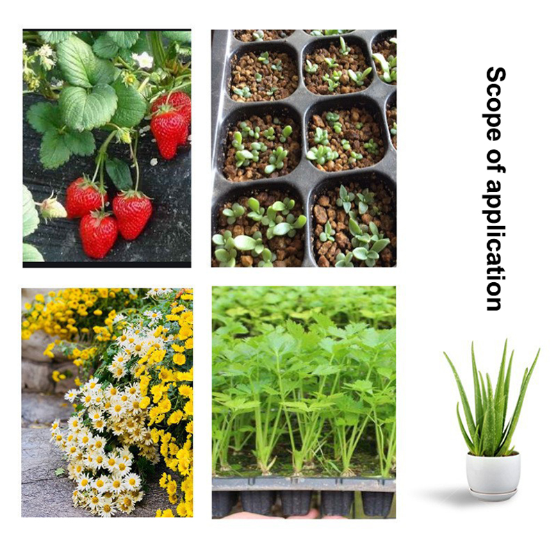 Hot 10Pcs Seedling Trays Plast - Seed Starter Trays ulasan dan harga