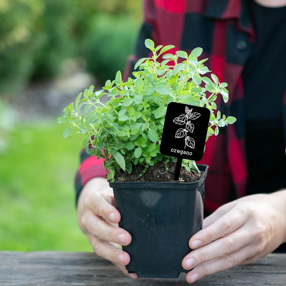 AA14 24Pcs Acrylic Plant Label - Gardening Tools Names ulasan dan harga