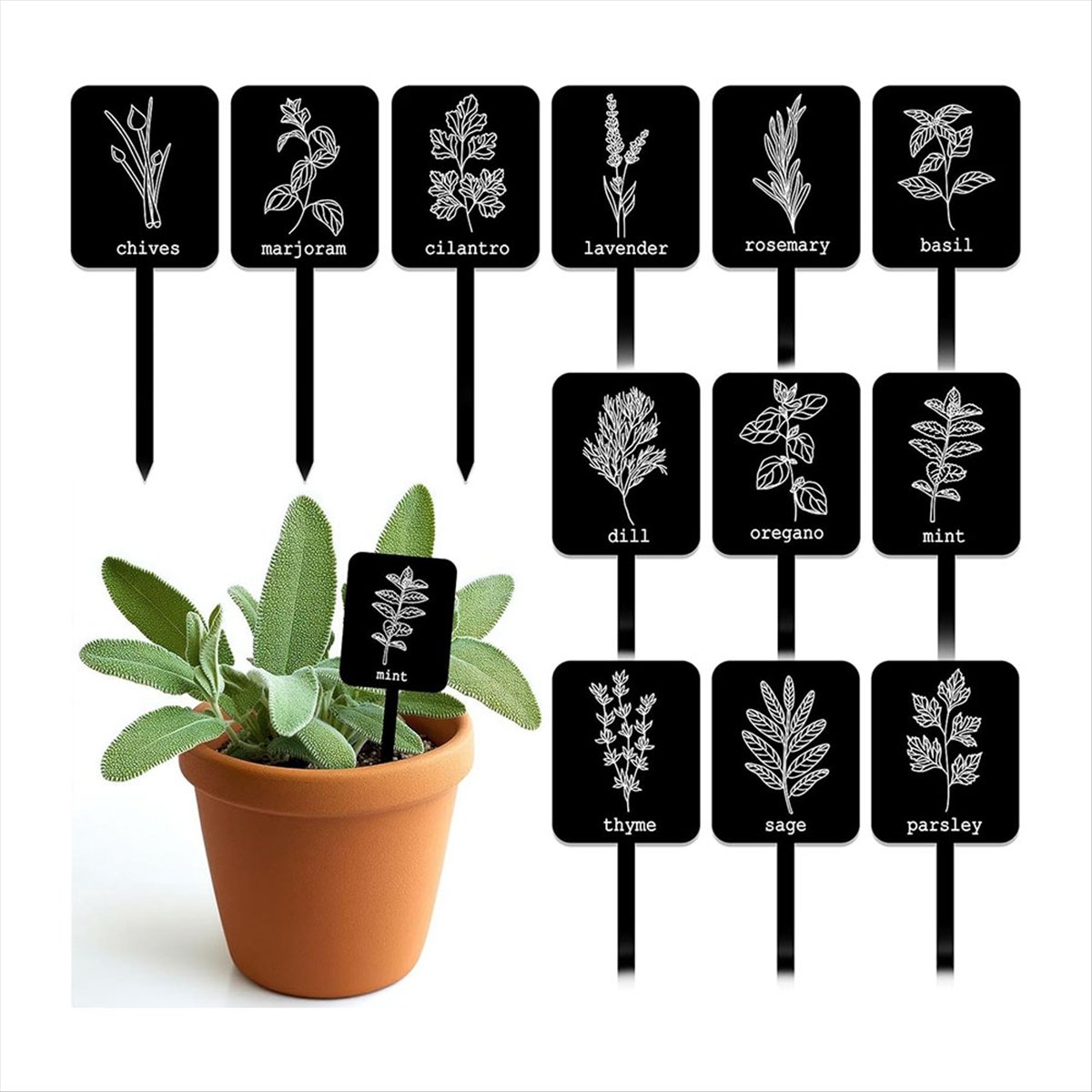 AA14 24Pcs Acrylic Plant Label - Gardening Tools Names ulasan dan harga